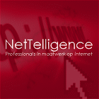 NetTelligence - custom internet development NetTelligence - custom internet development